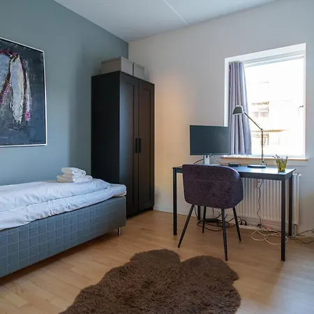 Spacious & Comfortable Near Tivoli & Metro Apartment Kopenhagen